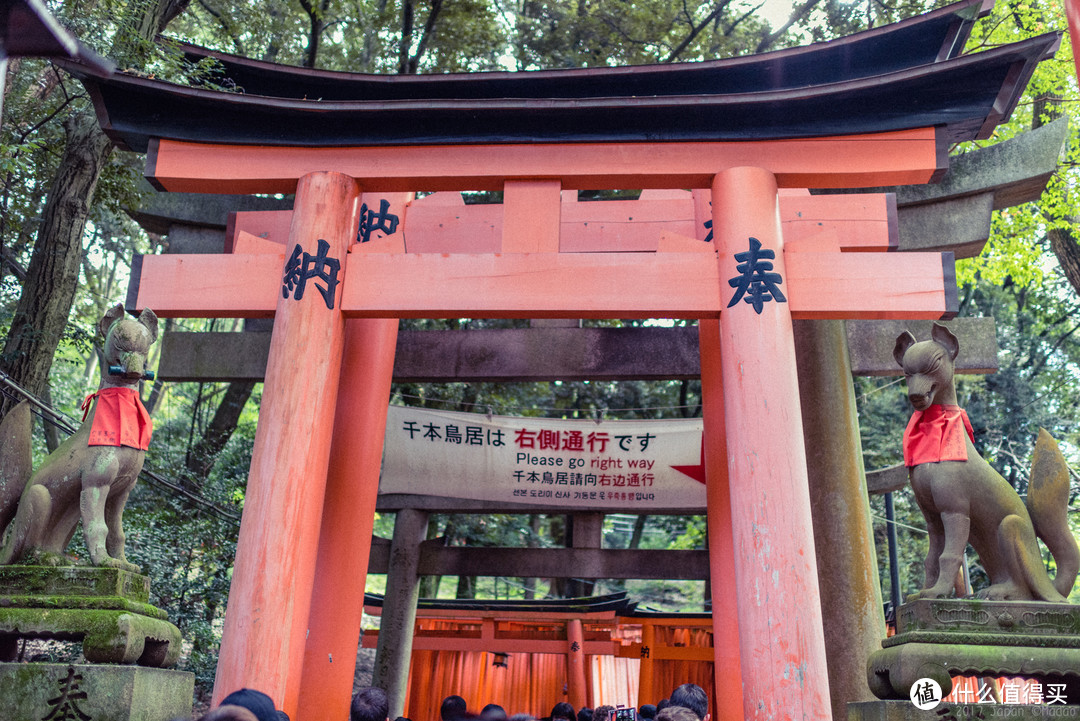 再访京都，稻荷山与花之绘姿