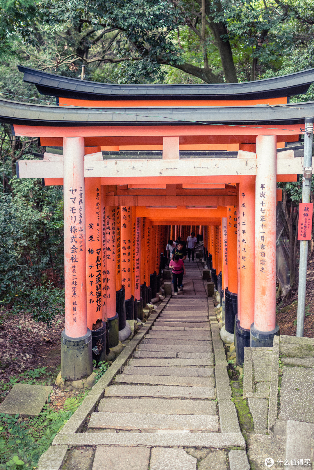 升龙道の早秋觅枫之旅篇六 再访京都 稻荷山与花之绘姿 国外自由行 什么值得买