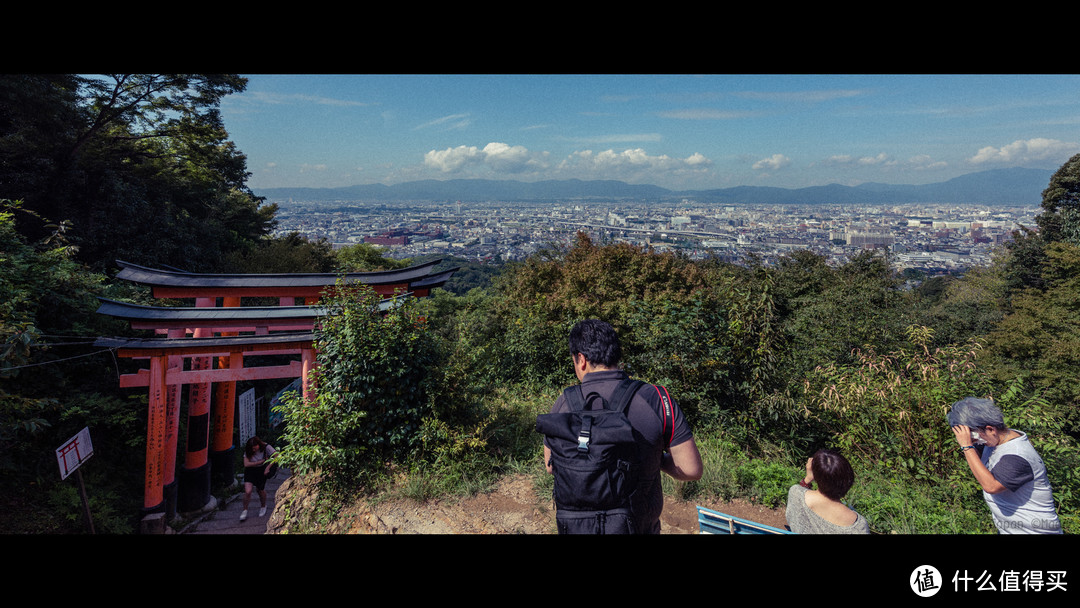 再访京都，稻荷山与花之绘姿