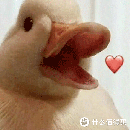 小编爱你们鸭！