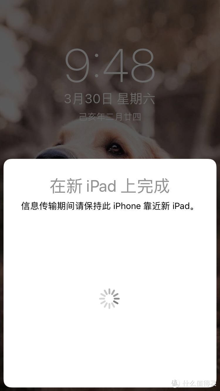 最强性价比游戏机 ipad mini5 开箱