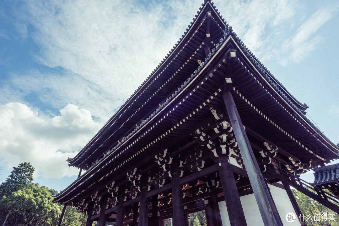 再访京都，稻荷山与花之绘姿