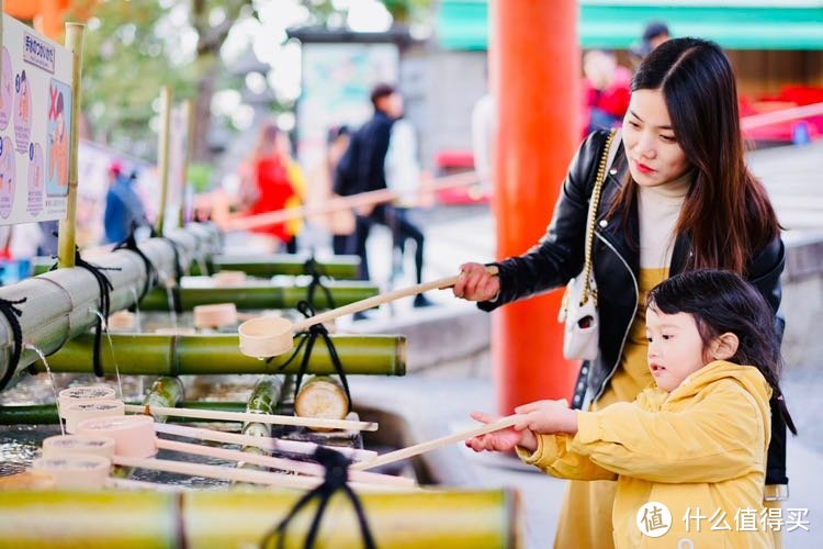 日本樱花之旅