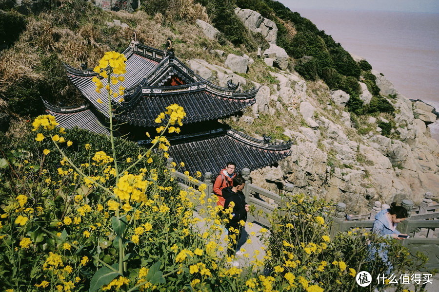 不烧香不拜佛不骑车，去普陀山干嘛？