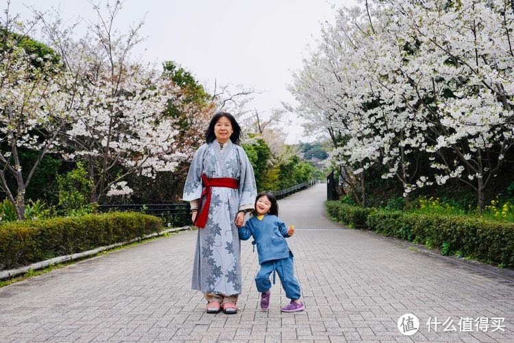 日本樱花之旅