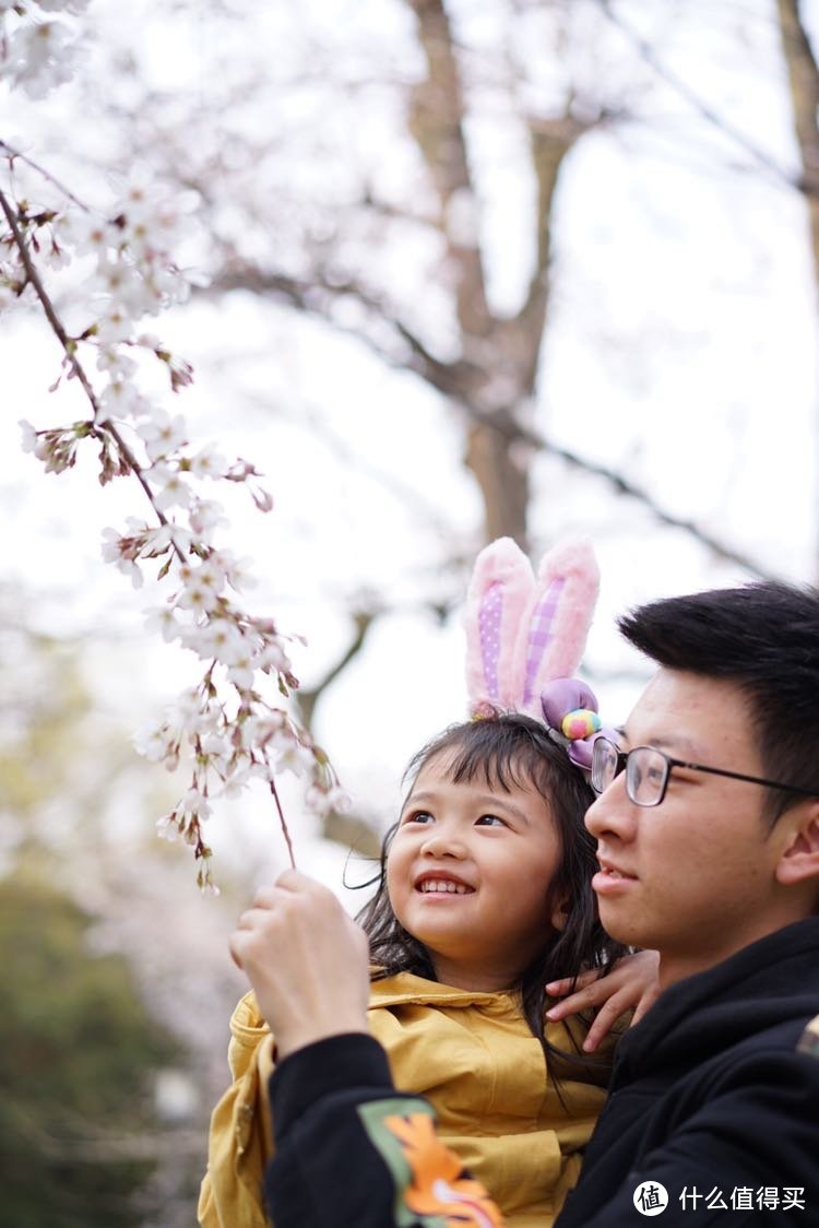 日本樱花之旅