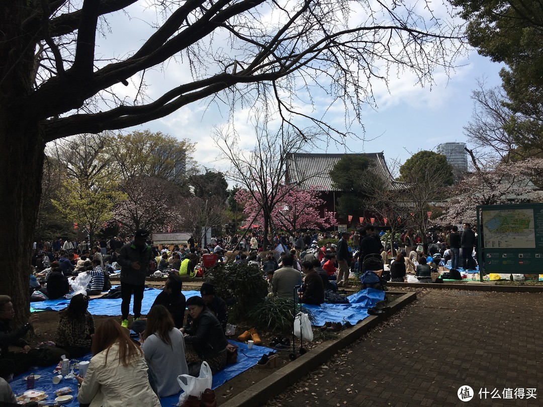 上野公园的位于东京市内，日本人都爱铺个垫子席地而坐吃吃便当喝喝酒吹个小牛一坐就是一下午