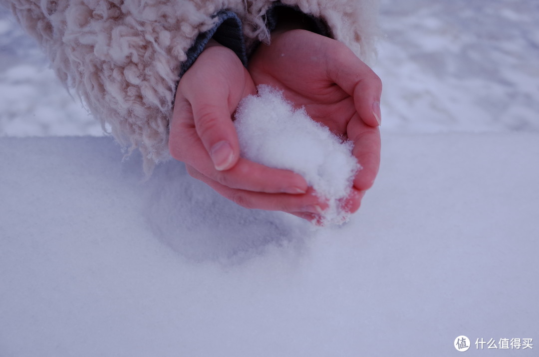 为了捧雪收冻得通通红