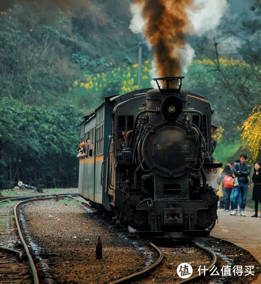 在四川有一辆至今仍在运行的蒸汽小火车，每年赏花季就会成为网红