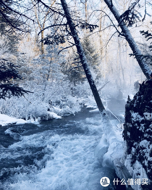 人均2300赶上长白山滑雪季的末班车