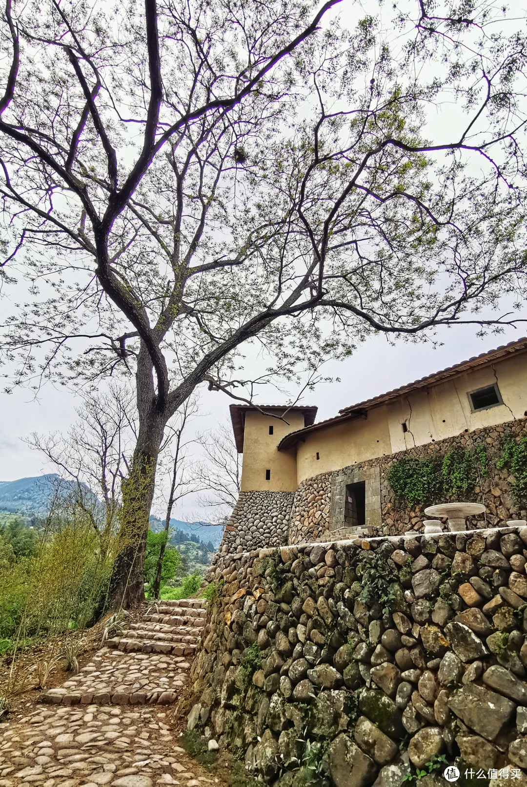 不负春光，福州永泰月洲村踏青记，带你看最美乡村图书馆