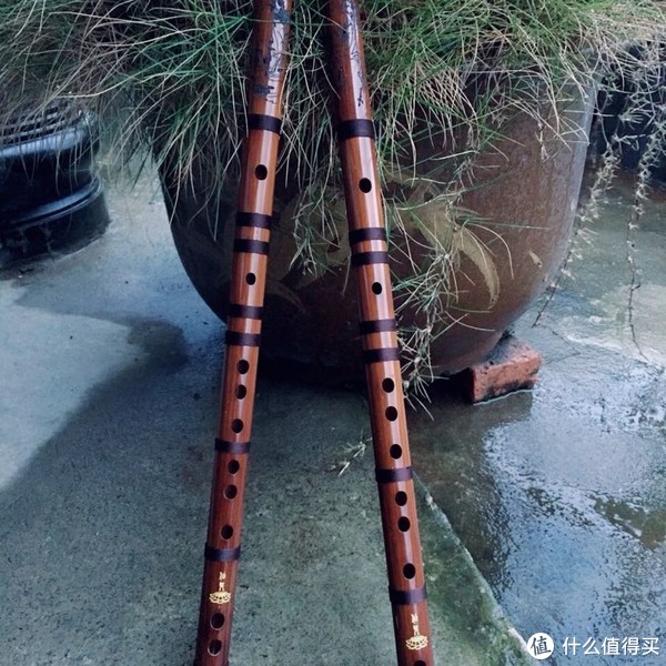 竹笛真是一件美妙的乐器，谁学谁知道。