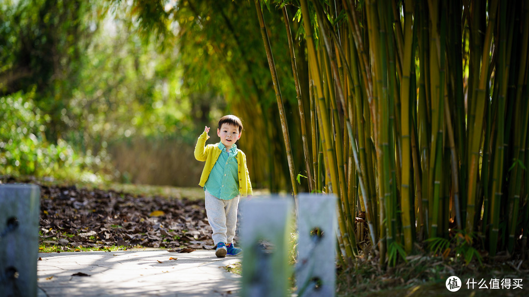 能抓拍的虚化大师，画质与速度兼具，索尼新镜FE135mm F1.8 GM