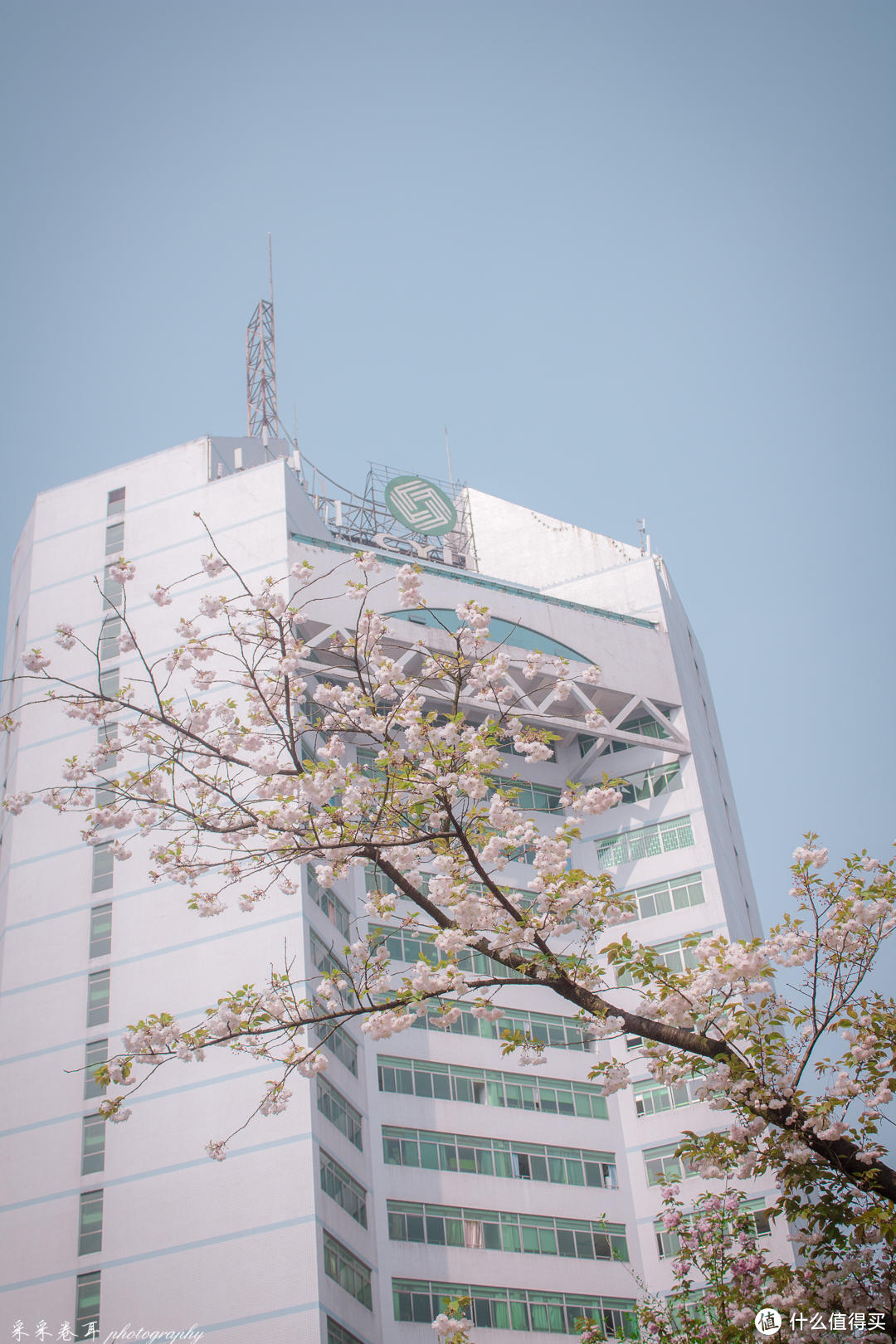 这些年行走重庆邮电大学 为君精心制作赏樱秘境攻略