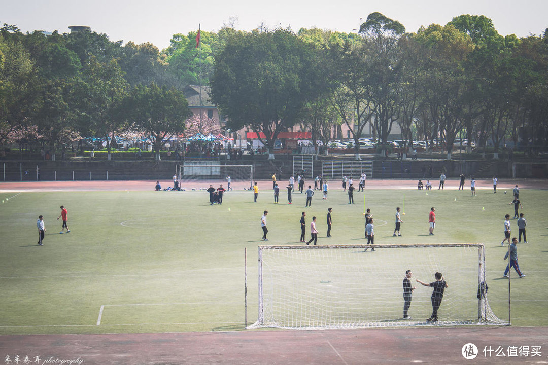 这些年行走重庆邮电大学 为君精心制作赏樱秘境攻略