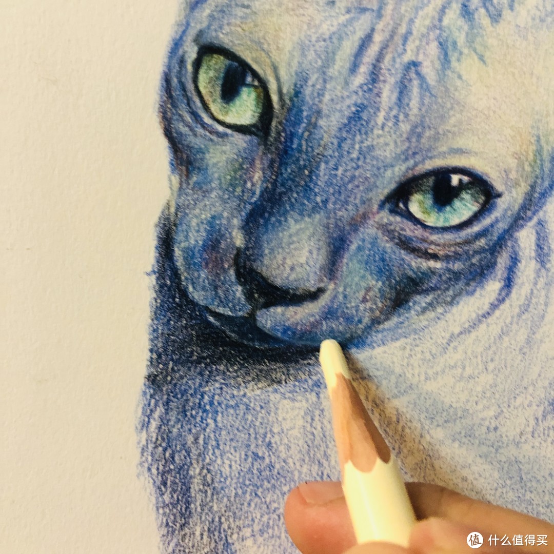 人人都能手绘斯芬克斯猫~绘画吸猫不是梦！
