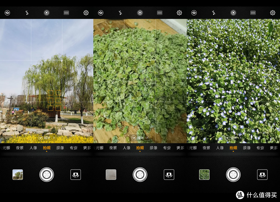 都说华为Mate 20 pro拍照强，到底是牛还是坑？一名普通消费者的真实体验
