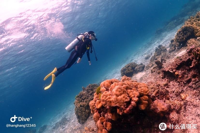 三刷普吉—padi ow潜水员认证之旅