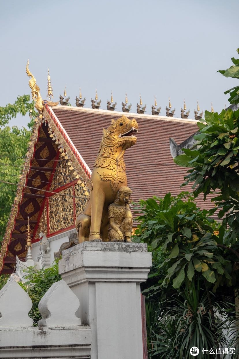 一个人的清迈之旅  寺庙  宁曼路  大象营地