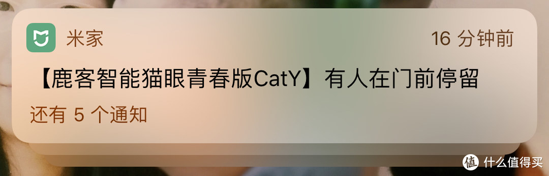 我的猫眼会说话——鹿客智能猫眼青春版CatY评测