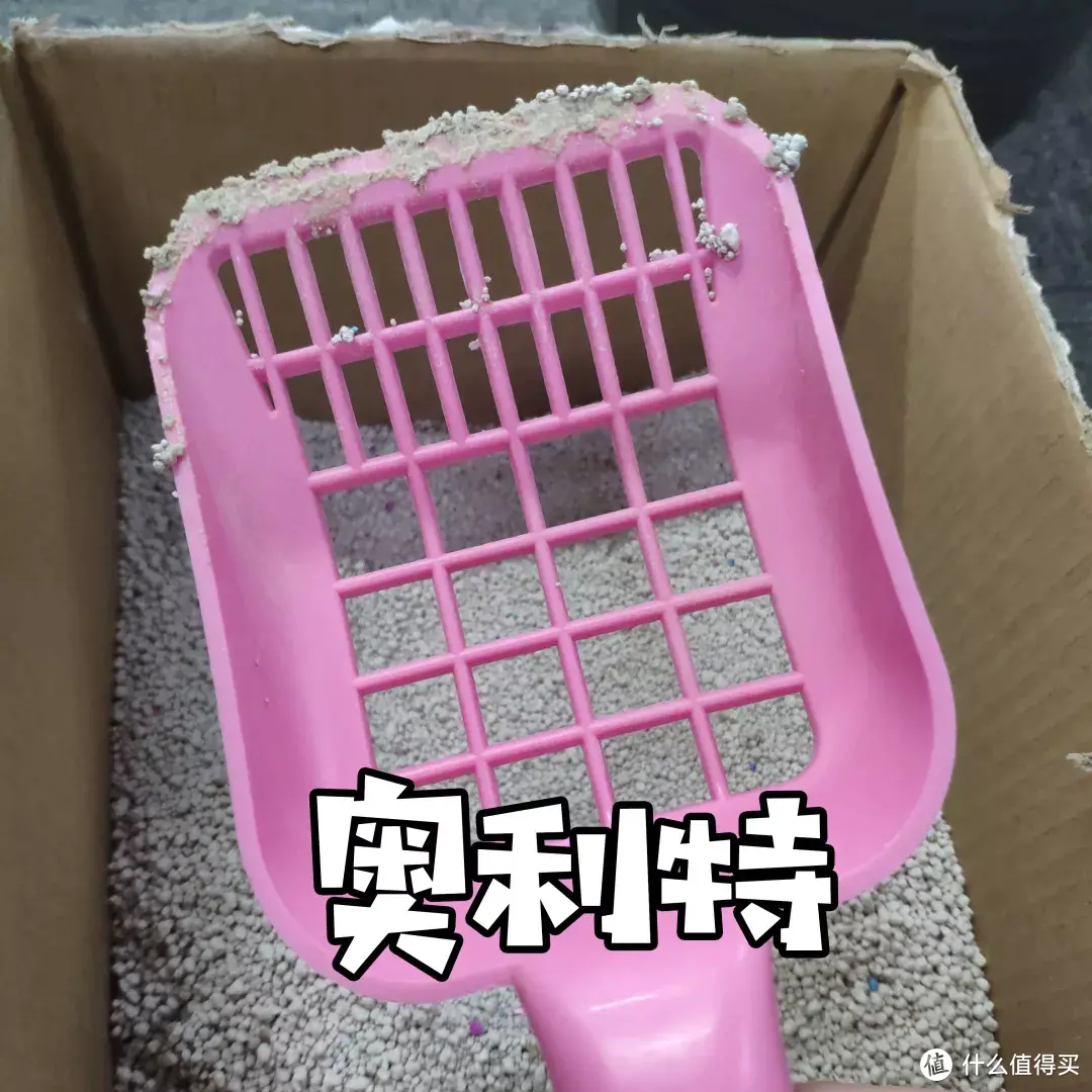 铲屎法宝猫砂铲，你挑对了吗？7款猫砂铲测评