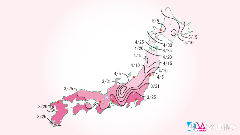 4月追樱攻略：桥豆麻袋！一起去霓虹国，淋场浪漫的樱花雨吧