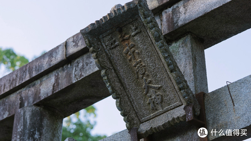 4月追樱攻略：桥豆麻袋！一起去霓虹国，淋场浪漫的樱花雨吧