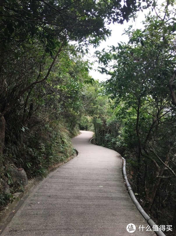 香港大学至太平山顶徒步道——异地闺蜜相聚香港（二）