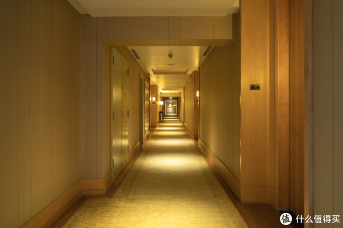 新加坡丽思卡尔顿 (The Ritz-Carlton, Millenia Singapore)体验分享