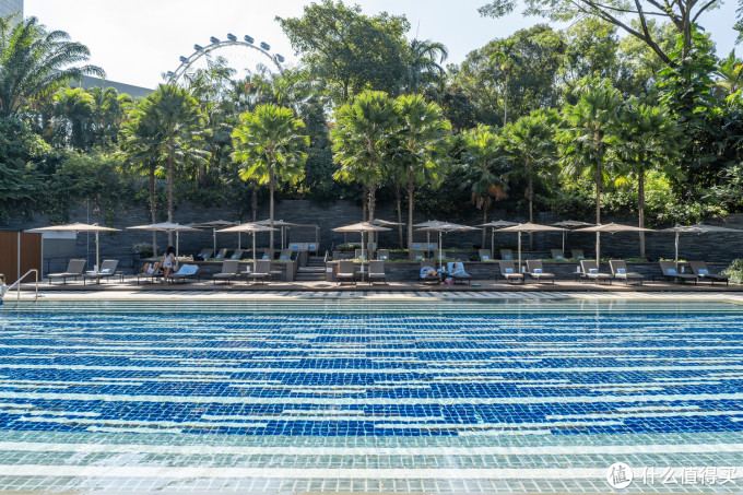 新加坡丽思卡尔顿 (The Ritz-Carlton, Millenia Singapore)体验分享
