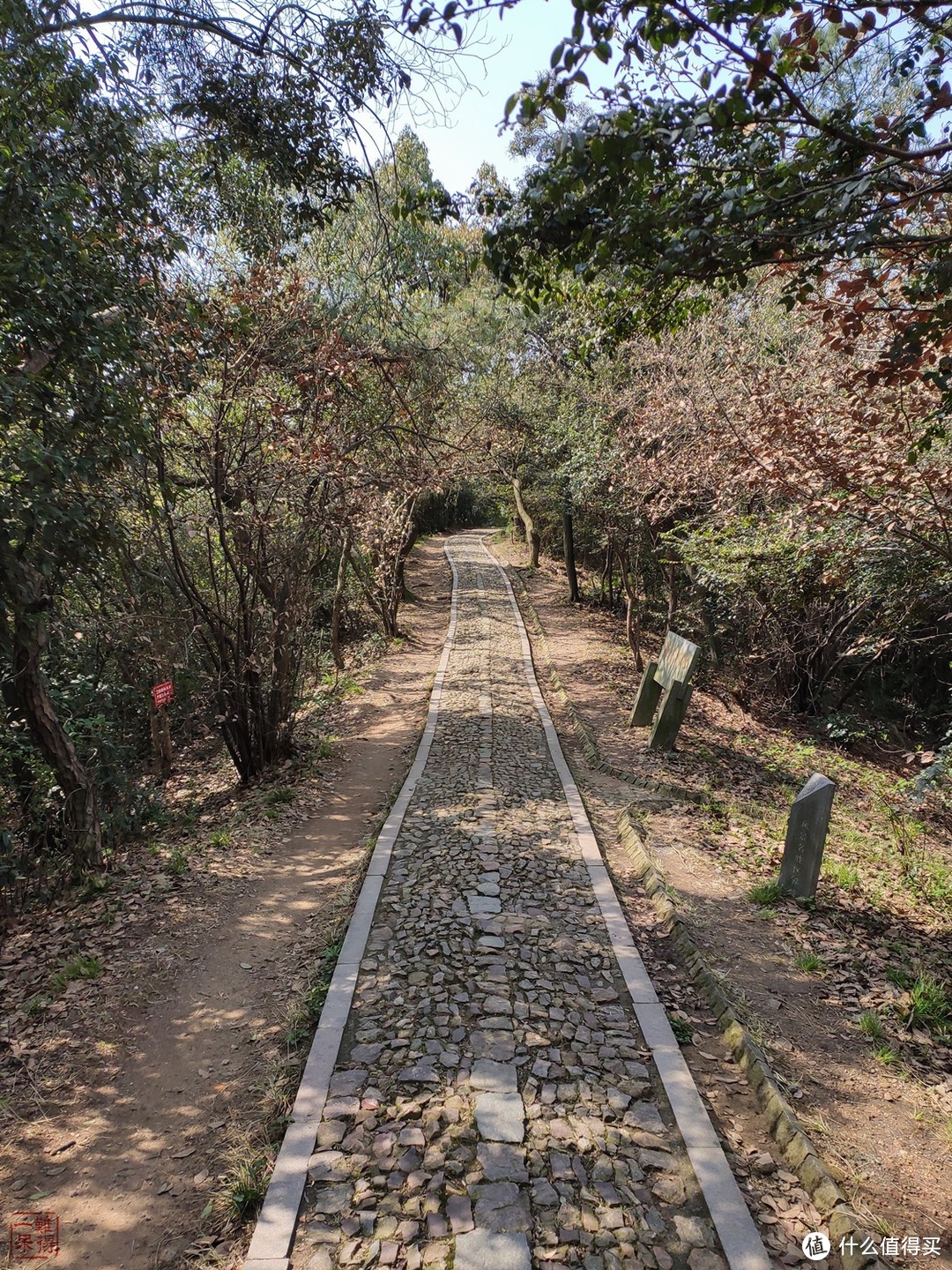 西湖群山美，踏青正当时