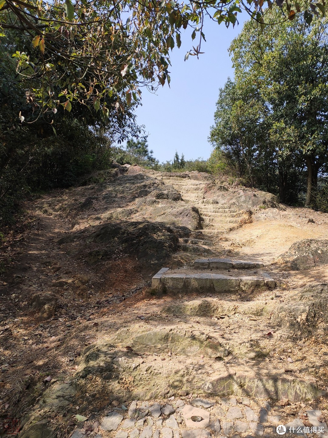 西湖群山美，踏青正当时