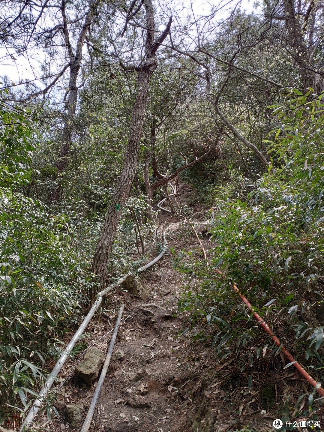 西湖群山美，踏青正当时