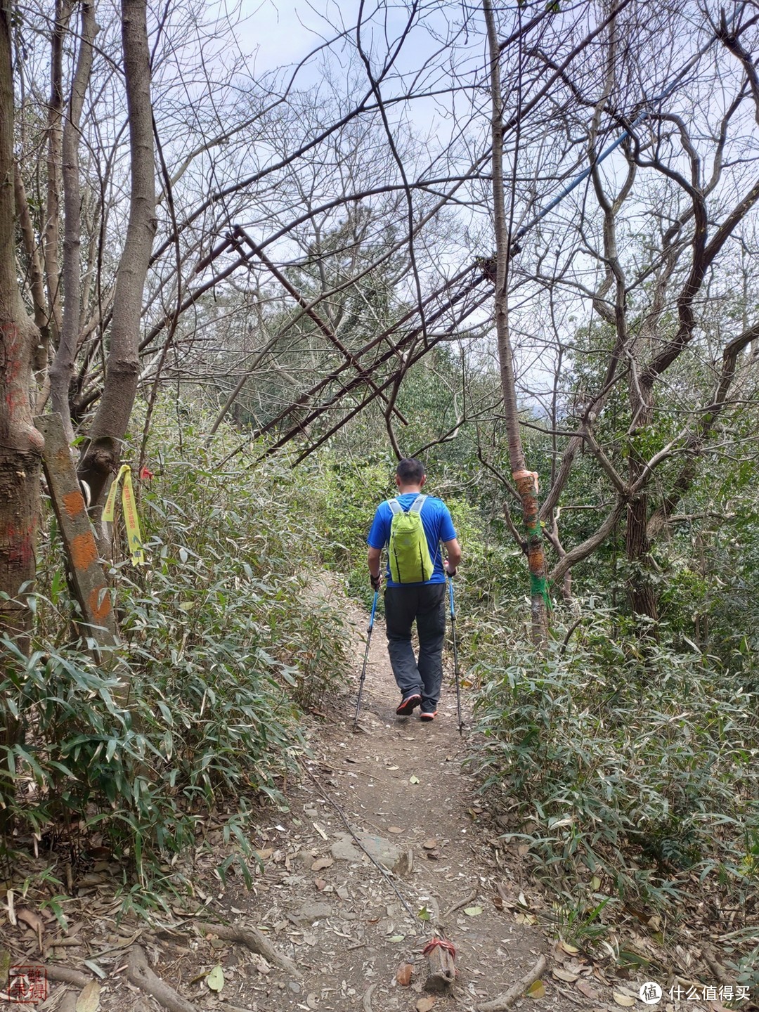 西湖群山美，踏青正当时