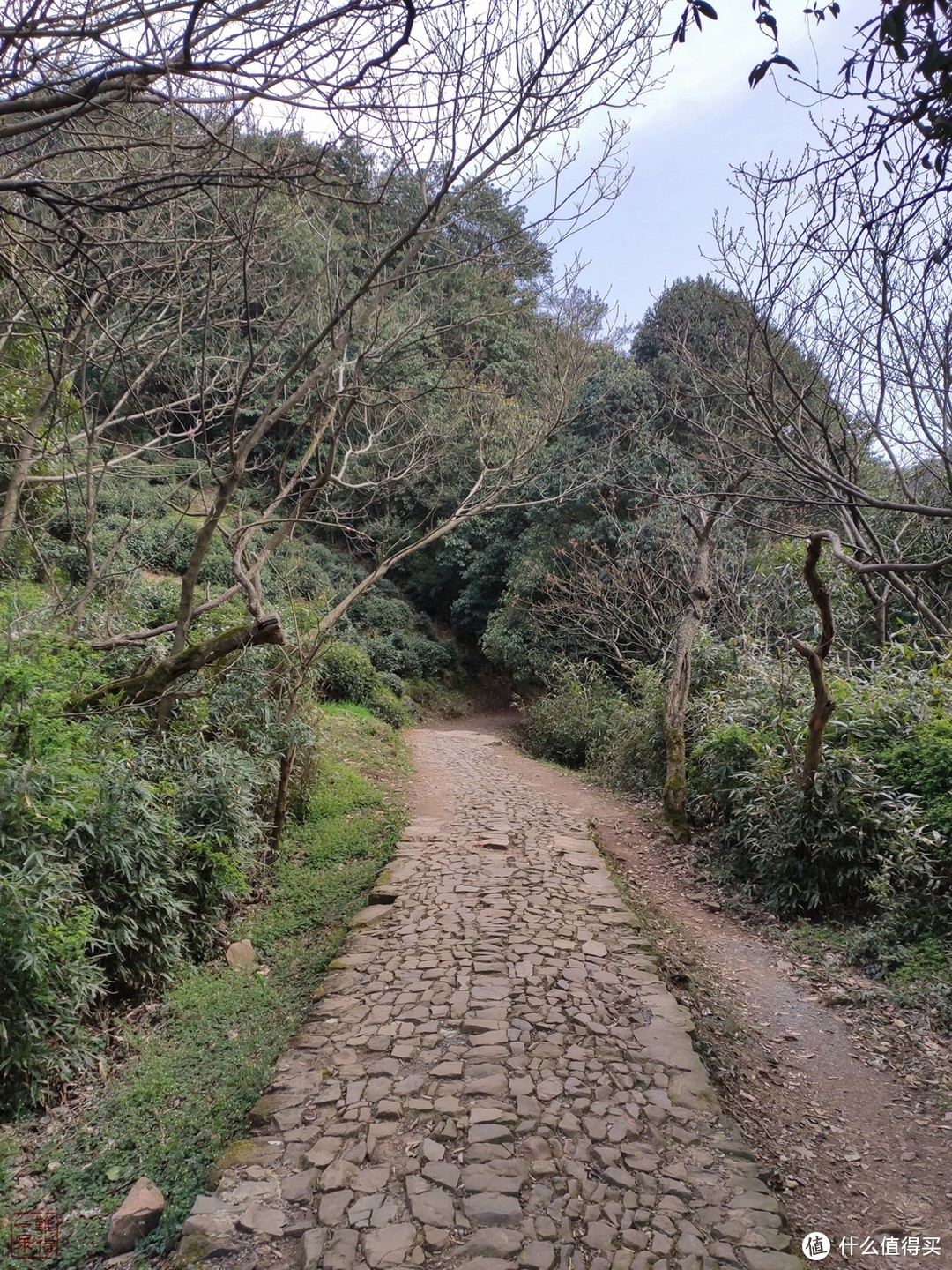 西湖群山美，踏青正当时