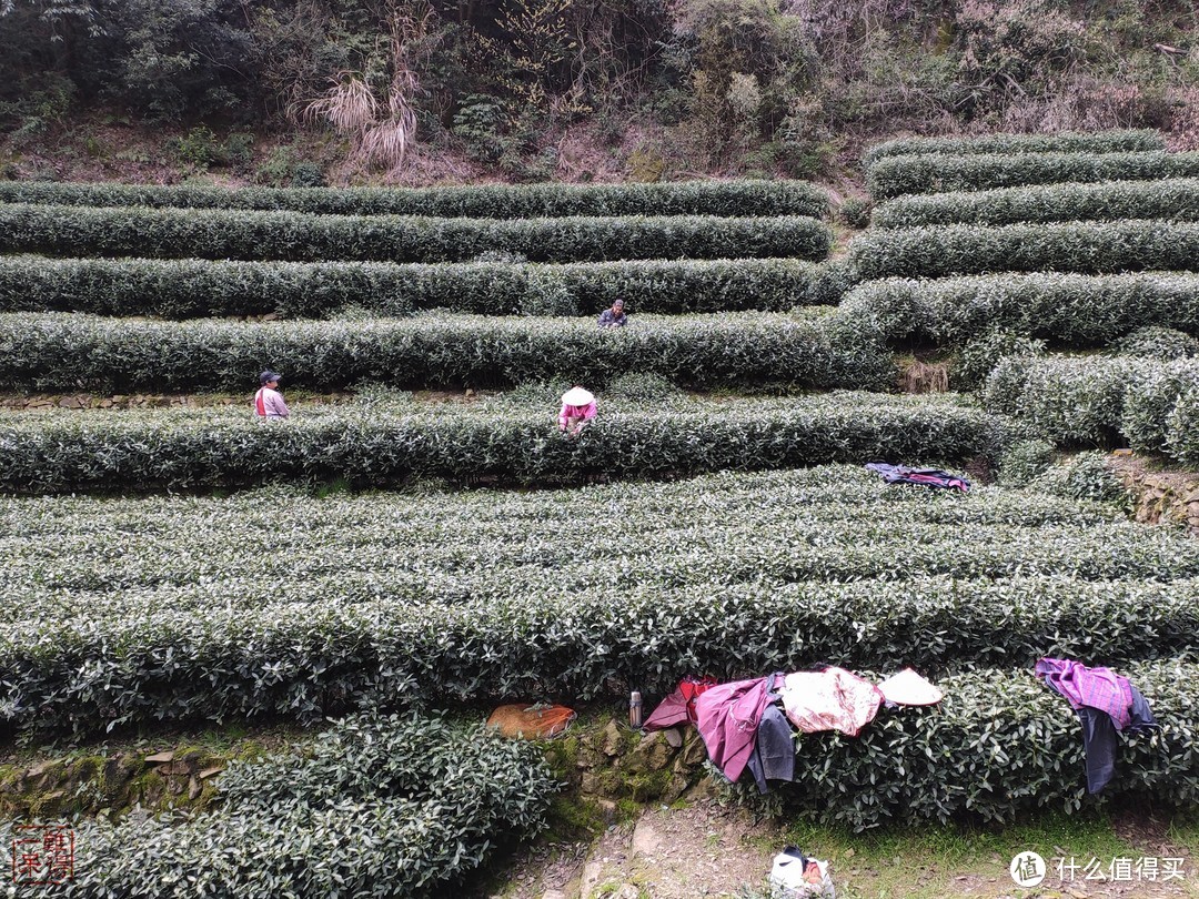 西湖群山美，踏青正当时