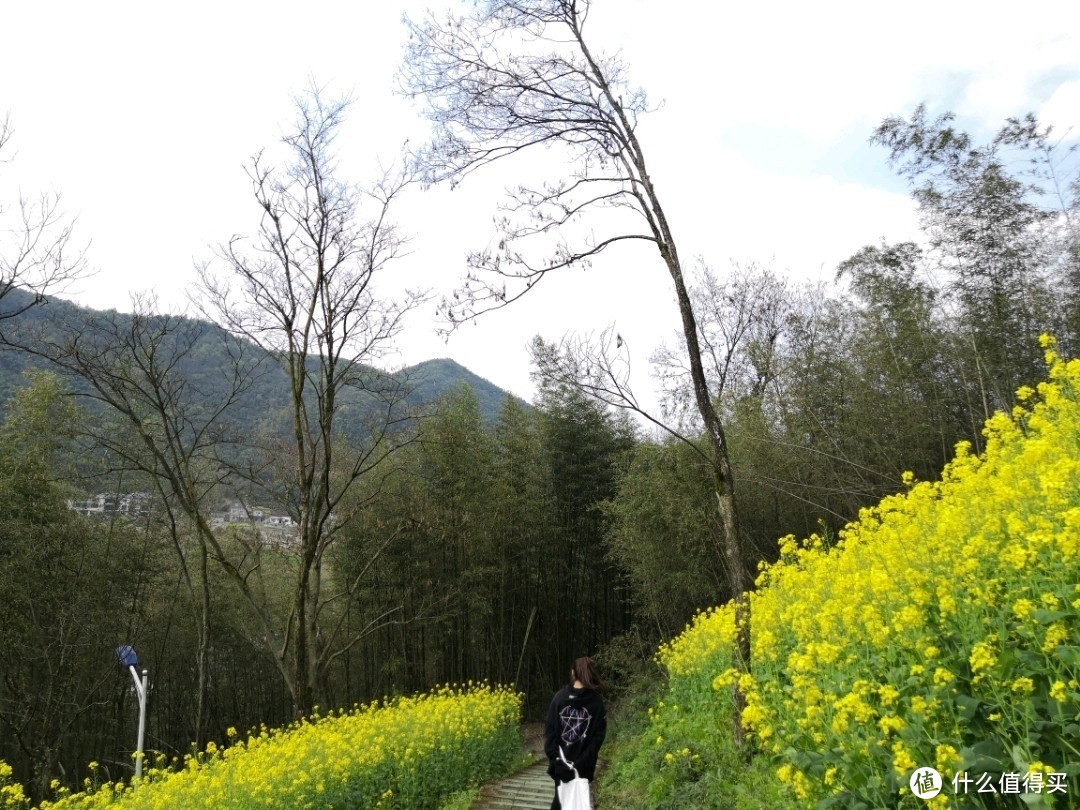 杭州未开发乡村风光适合周末出行