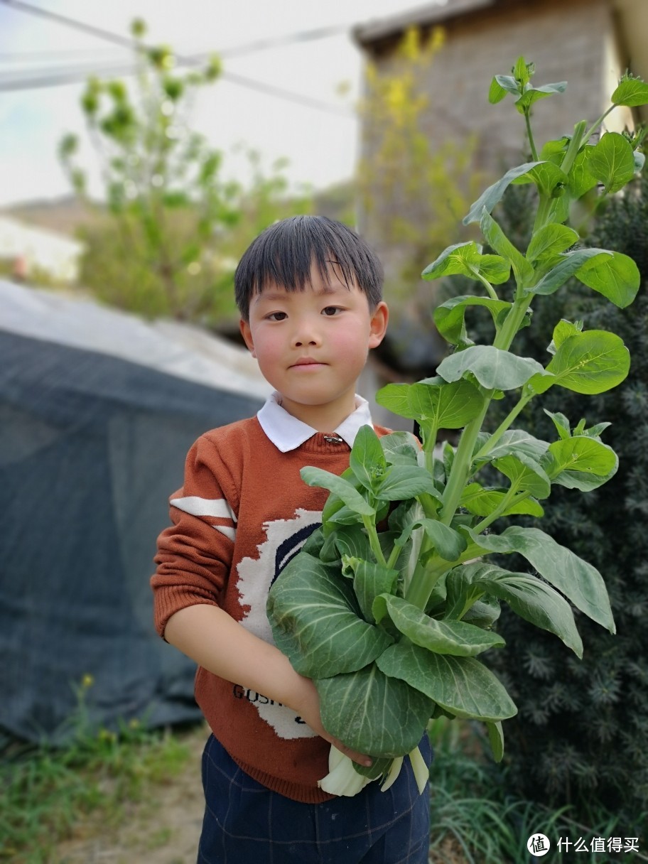 小可爱的镜头感不要太好哦