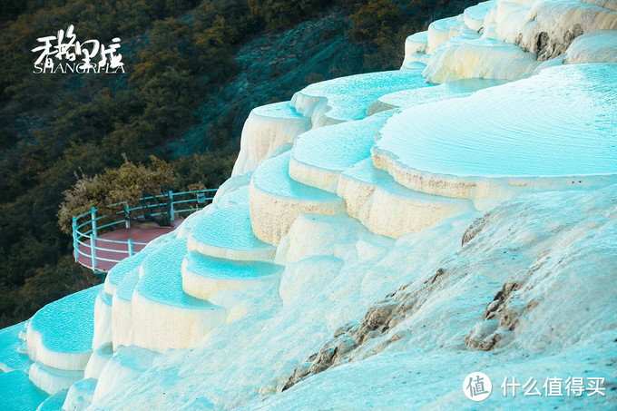 漫步花海间，驻足白雪山丨探秘云南小众旅行地