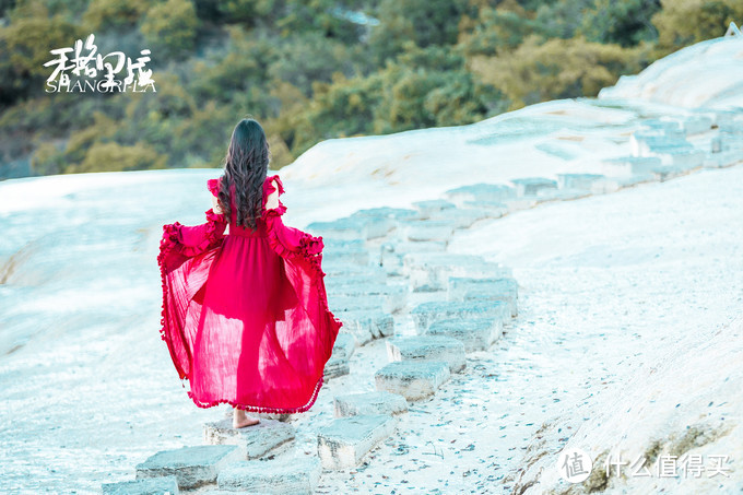 漫步花海间，驻足白雪山丨探秘云南小众旅行地