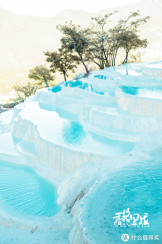 漫步花海间，驻足白雪山丨探秘云南小众旅行地