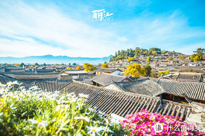 漫步花海间，驻足白雪山丨探秘云南小众旅行地