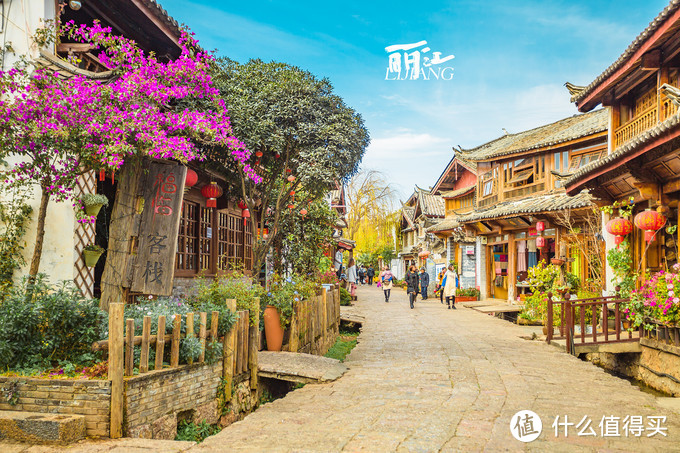 漫步花海间，驻足白雪山丨探秘云南小众旅行地