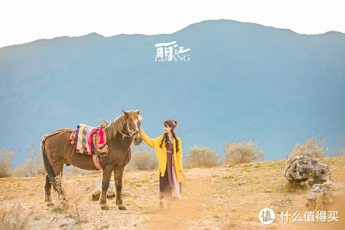 漫步花海间，驻足白雪山丨探秘云南小众旅行地