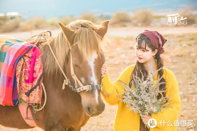 漫步花海间，驻足白雪山丨探秘云南小众旅行地