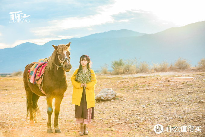 漫步花海间，驻足白雪山丨探秘云南小众旅行地