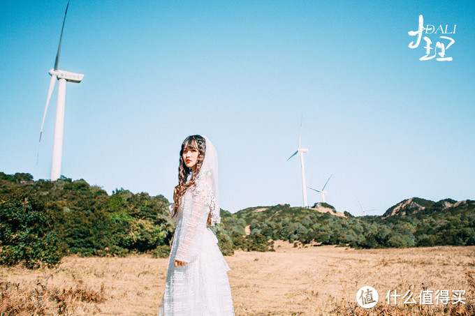 漫步花海间，驻足白雪山丨探秘云南小众旅行地