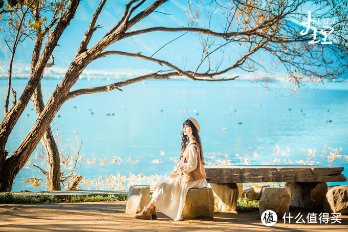 漫步花海间，驻足白雪山丨探秘云南小众旅行地