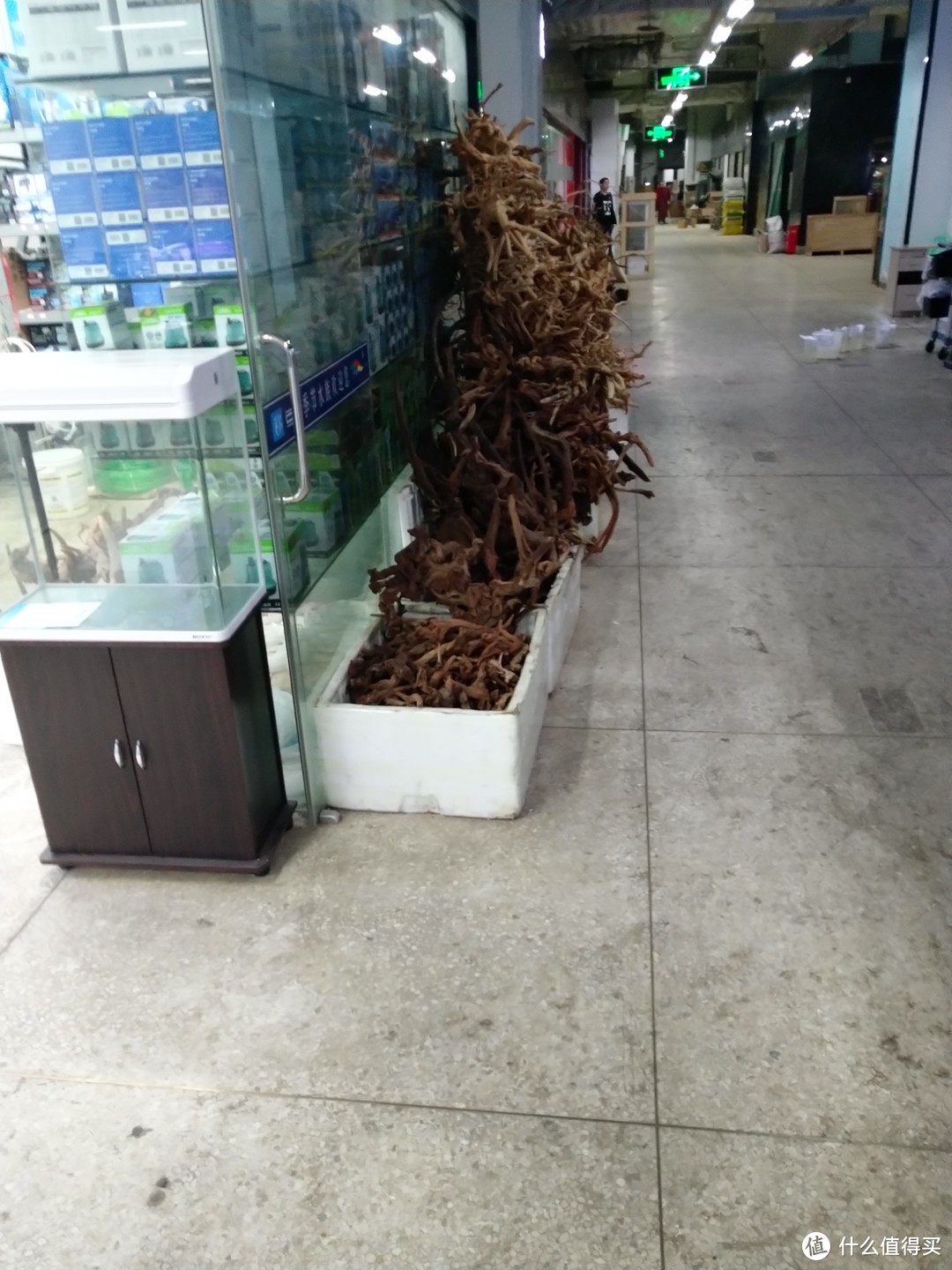 一家大型的下线水族店