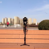 摄影手抖不用慌，你的相机需要一个更稳定的支撑—miliboo MTT705BS-NT（碳纤维）独脚架